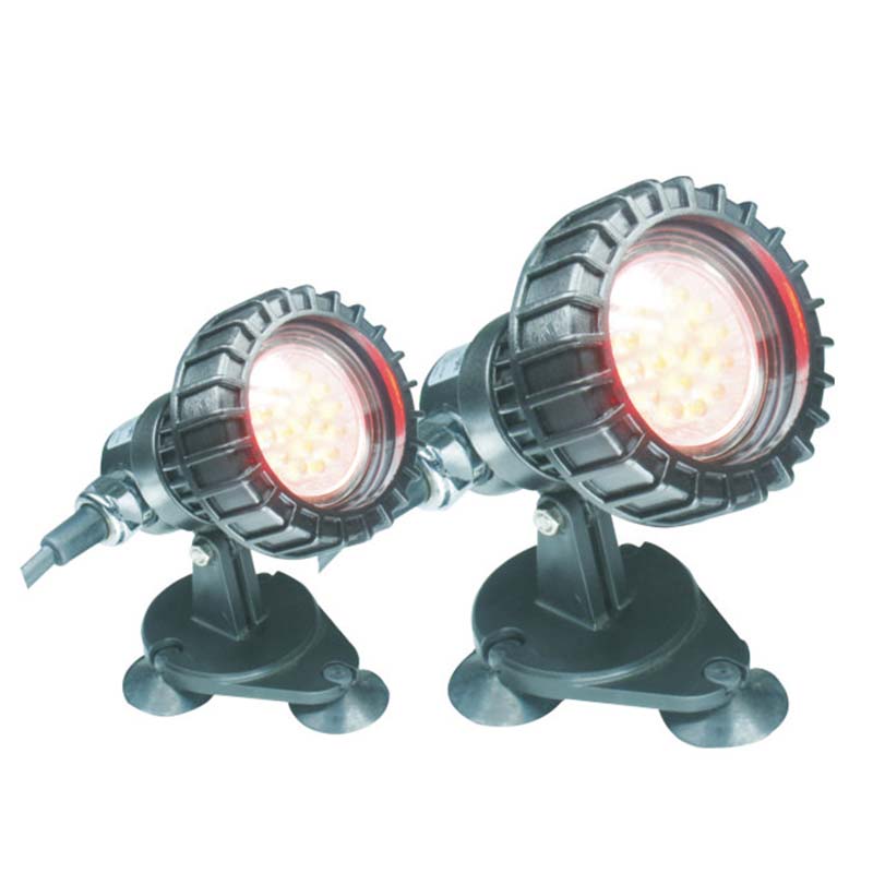 Balıq Yeraltı Gölet Sualtı İşıq